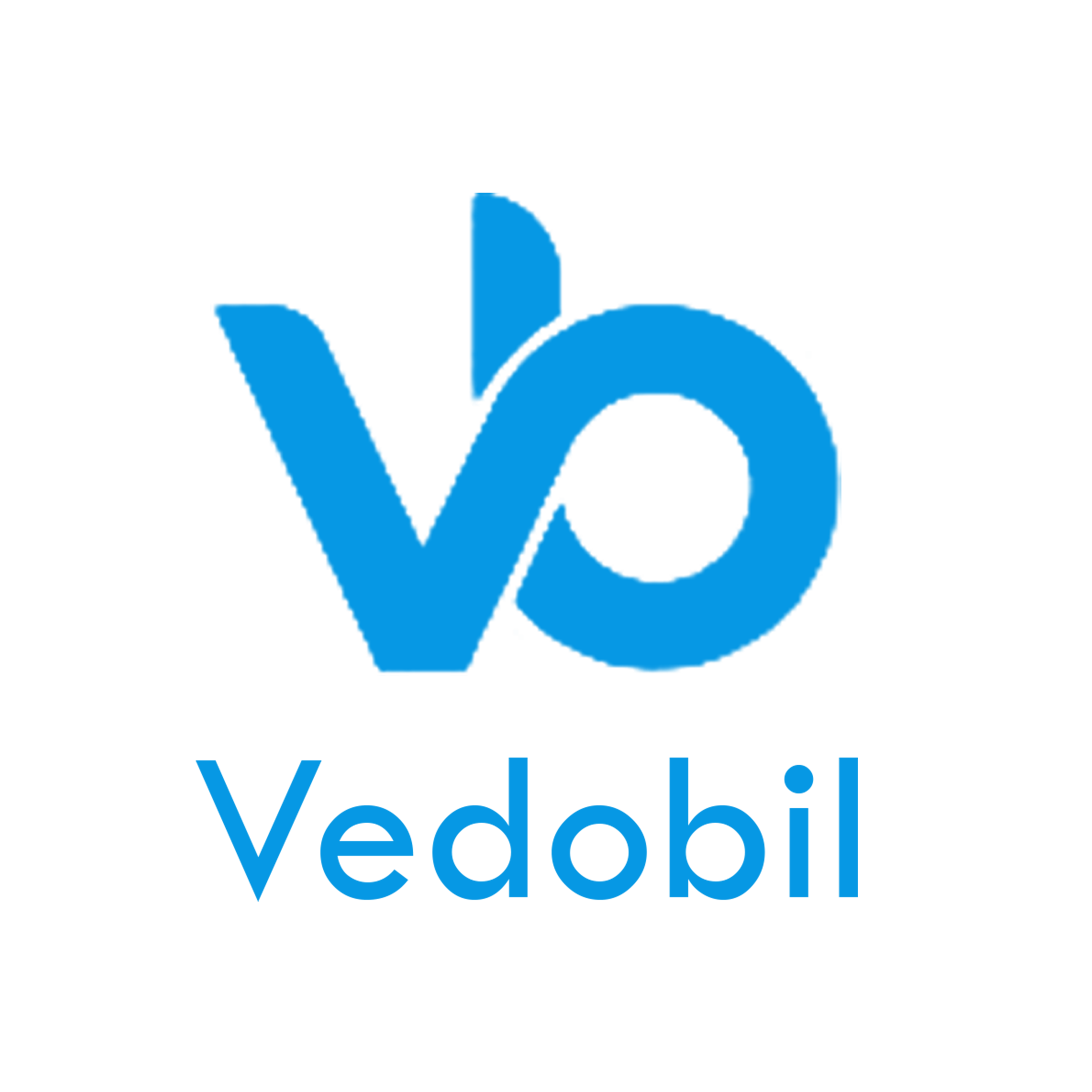 VEDOBIL, LDA